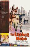 The Littlest Hobo (film)