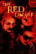 The Red Dwarf