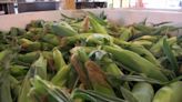 This is when Fresno State sweet corn is being sold (it’s soon)