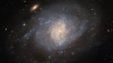 Hubble Space Telescope sees supernova wreckage in a hazy galaxy (image)