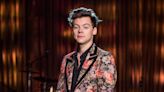 Love, Age, and Music: The Unveiling of 'The Idea of You'—A Story Inspired by Harry Styles