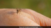 How Climate Change Impacts Transmission Of Malaria | News