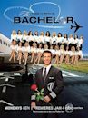 The Bachelor (American TV series) season 14