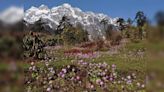 Exploring Yumthang Valley: A lesser-known heaven in Sikkim