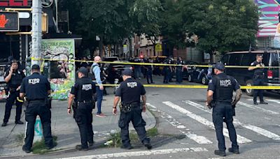 2 New York City police sergeants shot in struggle with armed robbery suspect, both expected to live