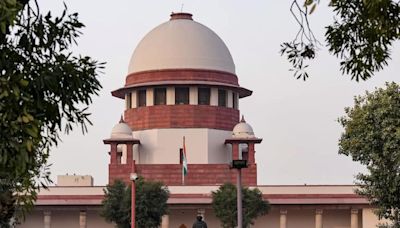 What SC Said On Allahabad HC's 'India's Majority Will Become Minority One Day' Observation