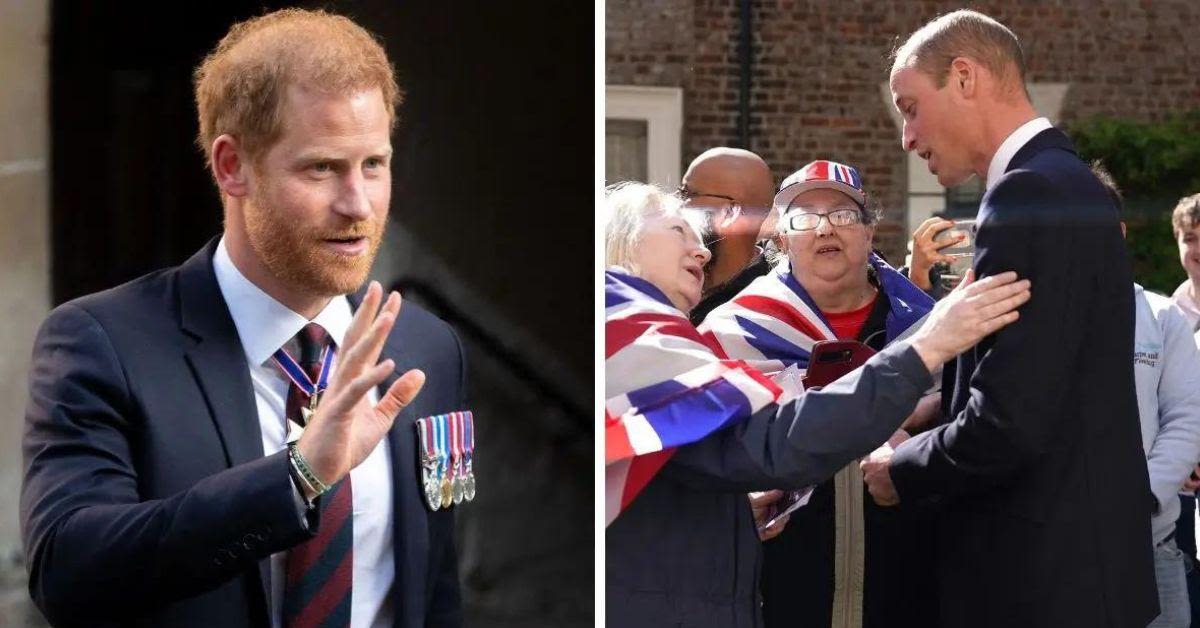 Too 'Destructive' for Royalty: If Left to Roam Free Prince Harry Would 'Bring a Fault Line...