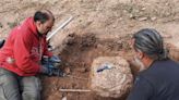 Un fósil de armadillo gigante revela que hubo humanos en Sudamérica hace mucho tiempo