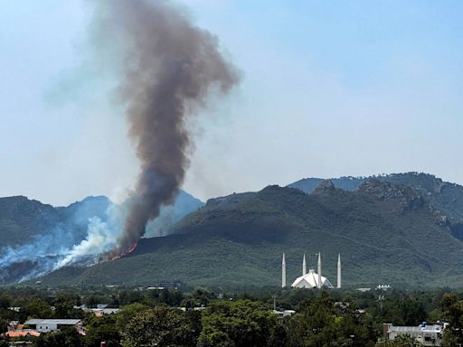 Incêndio atinge parque florestal no Paquistão; veja fotos de hoje