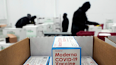 US households can now order four free Covid tests from the government – latest guidelines