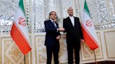 Jefe del organismo nuclear de ONU visita Irán entre limitaciones para observadores