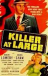 Killer at Large (1947 film)