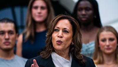 After Biden’s exit, Zoom led by Black women mobilized 44,000 for Harris