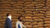 Govt allows FCI to sell wheat from stocks to flour millers, biscuit makers