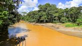 Advierten un "alarmante" aumento de la minería en la Amazonía de Ecuador