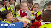 Open Farm weekend: Farmers open their gates to share secrets