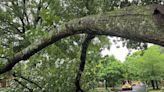 70,000 without power as severe storms pummel Charlotte. Flights grounded at airport
