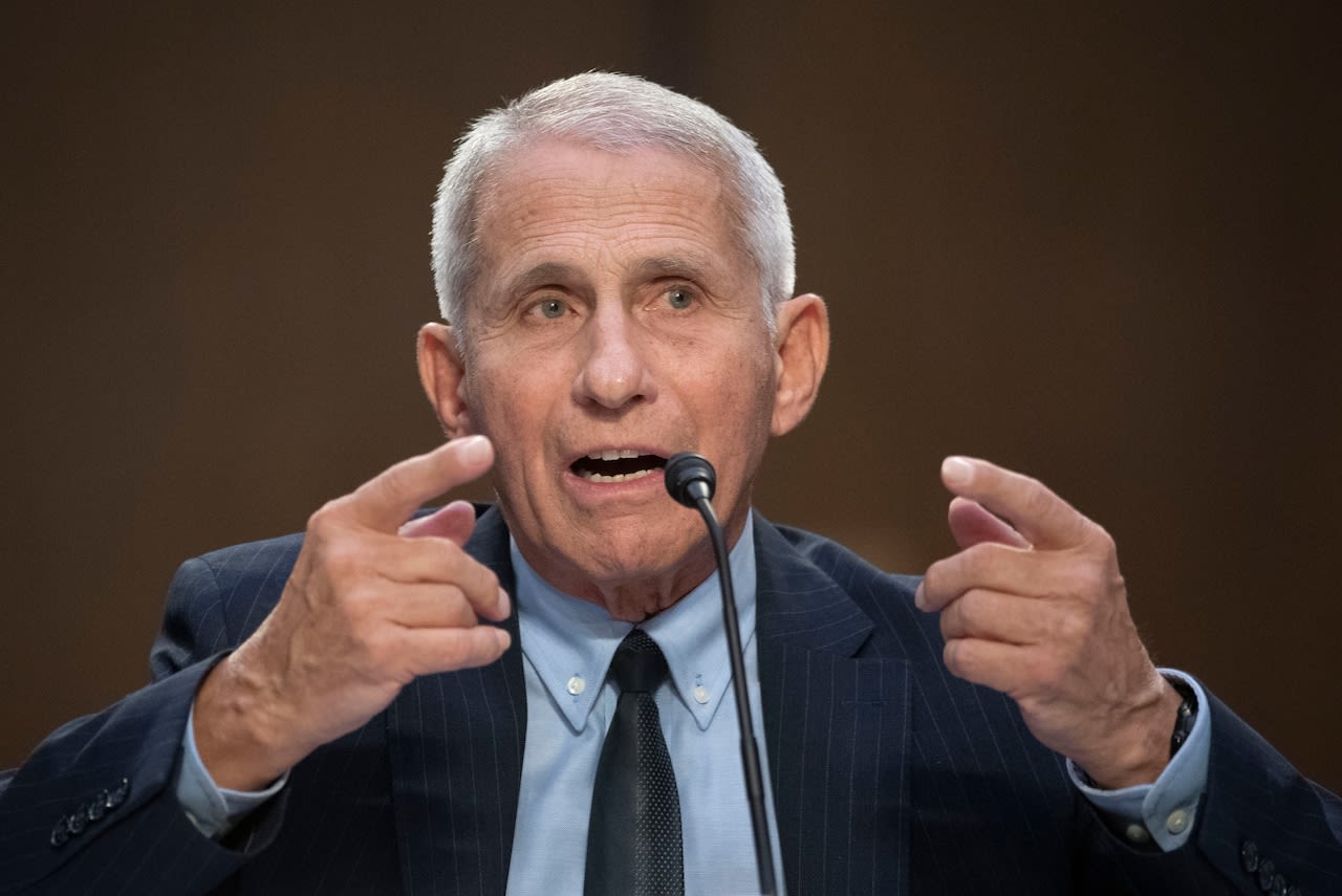 Death threats and disinformation: Anthony Fauci testifies before House coronavirus subcommittee