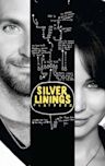 Silver Linings Playbook