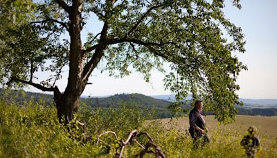 Having a country walk can stop time rushing by, say scientists