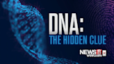 News 8 Investigates: How rapid DNA testing is helping crack cases in Connecticut