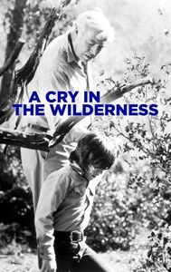 A Cry in the Wilderness