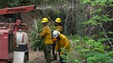 US push to lower wildfire risk across the West stumbles in places