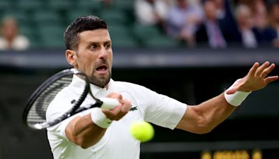 Novak Djokovic avanzó a las semifinales de Wimbledon sin jugar: Alex De Miñaur se bajó por una lesión en la cadera