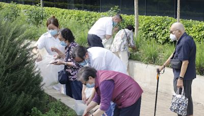 北大嶼醫院園藝治療 7成認知障礙病患好轉