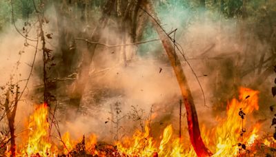 Dangerous conditions in the Amazon spark raging fires: 'It's creating opportunities for wildfires'