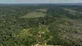 Takeaways from lawsuits accusing meat giant JBS, others of contributing to Amazon deforestation