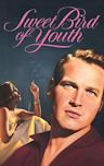 Sweet Bird of Youth (1962 film)
