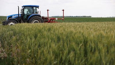 Ucrânia foi o principal país fornecedor de cereais a Portugal em 2023