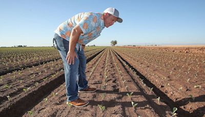 We need a farm bill that boosts farmers and the Earth, not Big Ag’s special interests | Opinion