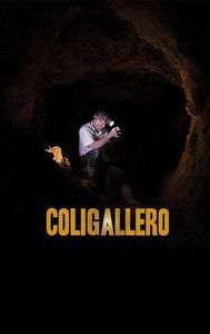 Coligallero