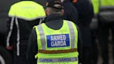 Gardaí in Co Cork shoot pit bull terrier after it attacked people