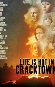 Life Is Hot in Cracktown