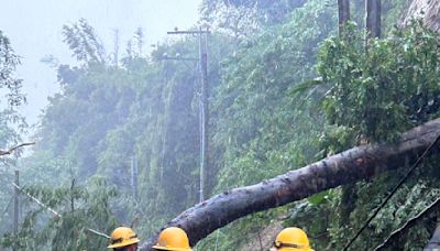 凱米肆虐 台電台南區處冒風雨挺進山區全力搶修 | 蕃新聞