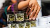 CEO-Worker Pay Gap Reflected In Cannabis Industry Salaries