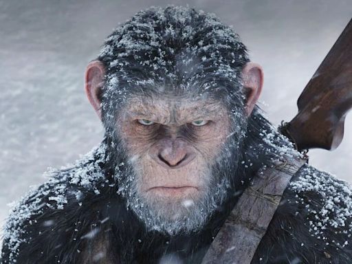 Kingdom of the Planet of the Apes: Does Caesar Appear?