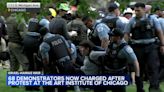 68 charged at pro-Palestinian protest outside the Art Institute of Chicago, police say