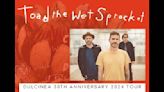 Toad The Wet Sprocket Announce Dulcinea 30th Anniversary Tour