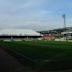 Vetch Field