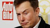 REPORTE: Elon Musk pone camas en oficinas de Twitter para que empleados duerman ahí