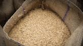 India Allots $142 Billion for Free Grains to 800 Million People