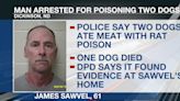 Man arrested for poisoning two dogs