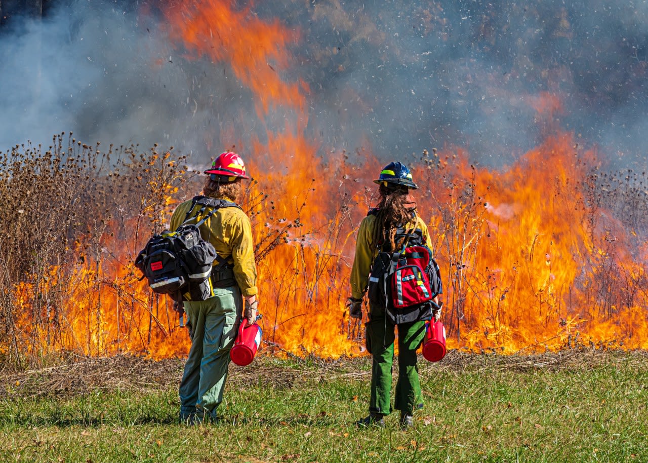 Expect to see smoke around Campo as Cal Fire conducts controlled burn