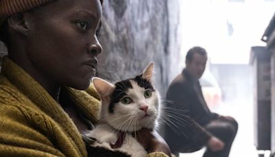 El gato de Lupita Nyong'o en ‘Un Lugar en Silencio: Día Uno’ que se ha robado el corazón del público