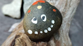 Spread Goodness Day rocks! Woman’s mission to spread kindness one painted rock at a time