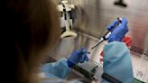 University of Pennsylvania scientists working on new bird flu vaccine amid growing concerns over virus mutation